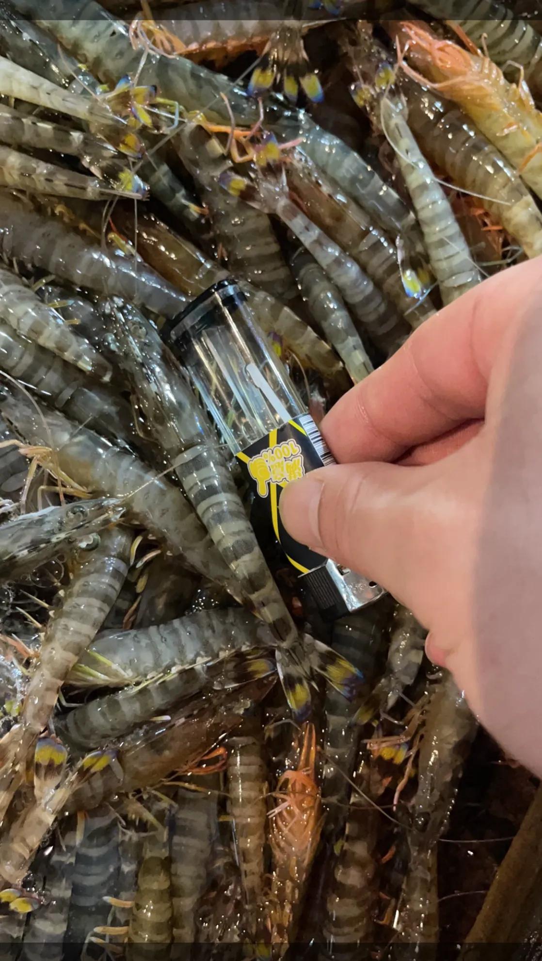 卖了7年海鲜,卖了两天海鲜都亏钱到底怎么回事