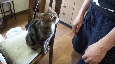 我想问一下这到底是足球还是篮球呢？这电棒是干什么用的