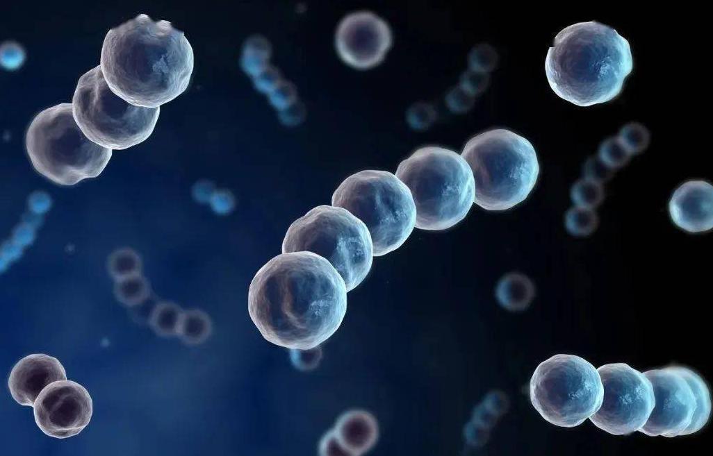 涓嶆埓鎵嬫満濂楃殑鎰熷彈,涓嶆埓鎵嬫満濂楃殑鎰熷彈鐪熷ソ