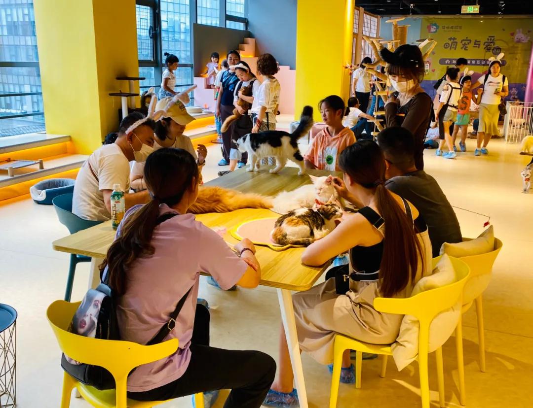 银泰旗下有哪些店,银泰商业旗下百货店有哪些