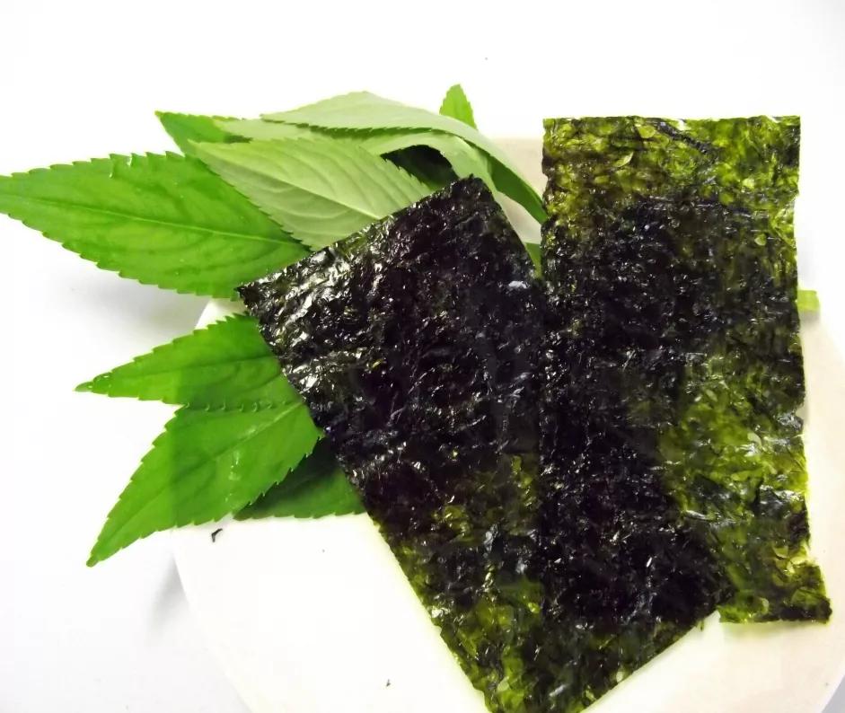 孩子最爱吃的5种零食,小孩能吃的最健康的零食是什么