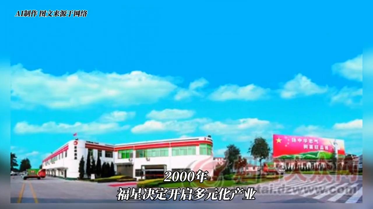 福星科技谭国延故事,福星科技24年一季度的业绩