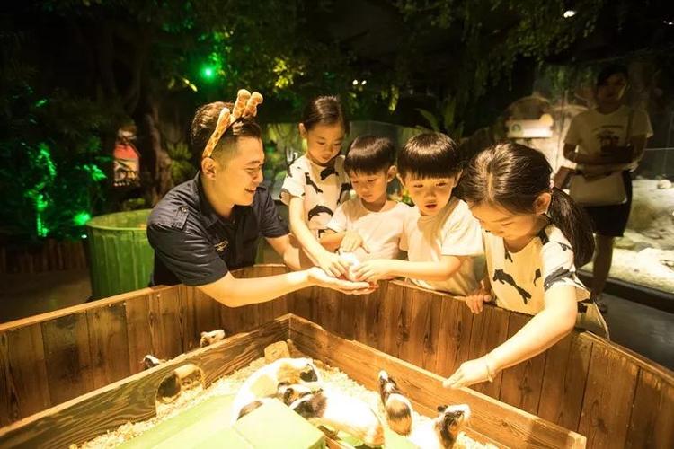 室内动物园的投资加盟,室内小型动物园加盟500平米左右