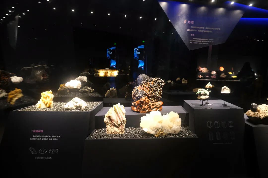 打卡山东博物馆和大明湖,山东博物馆打卡预约