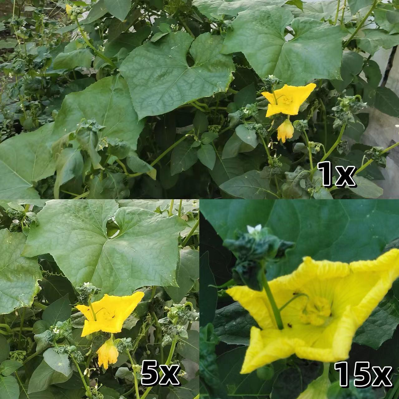 米家智能眼镜评测视频,米家眼镜相机实测