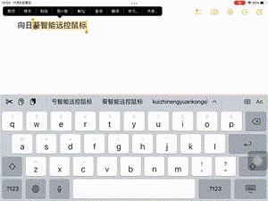 向日葵远控鼠标和普通鼠标的区别,ipad向日葵支持蓝牙鼠标