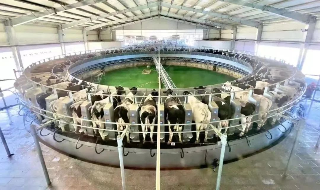 武清好喝的牛奶,武清奶酪罐子