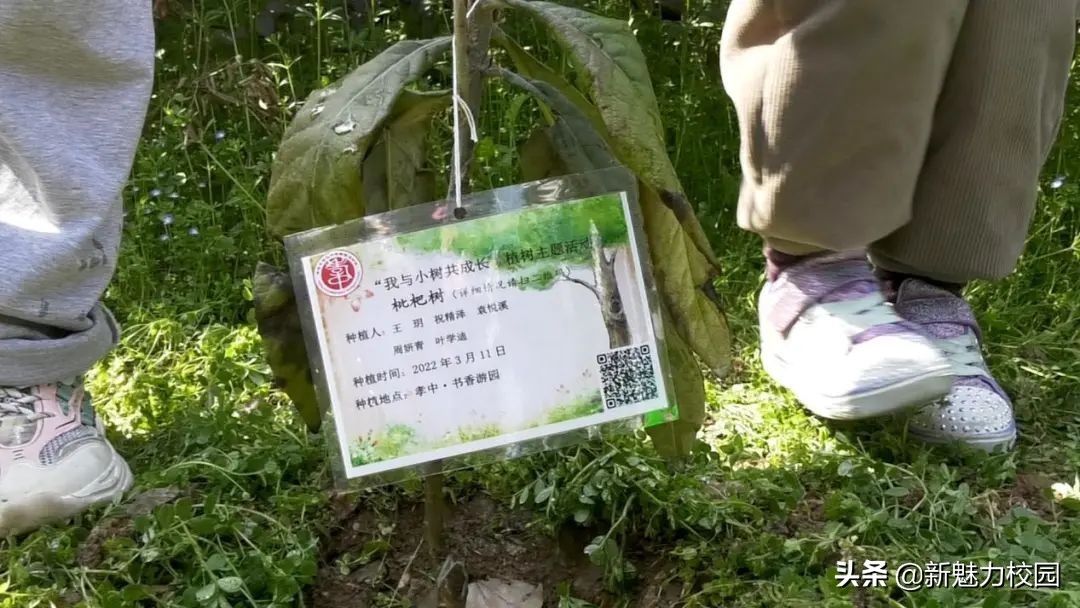 孝陵卫初级中学一年级一班,南京市孝陵卫中心小学