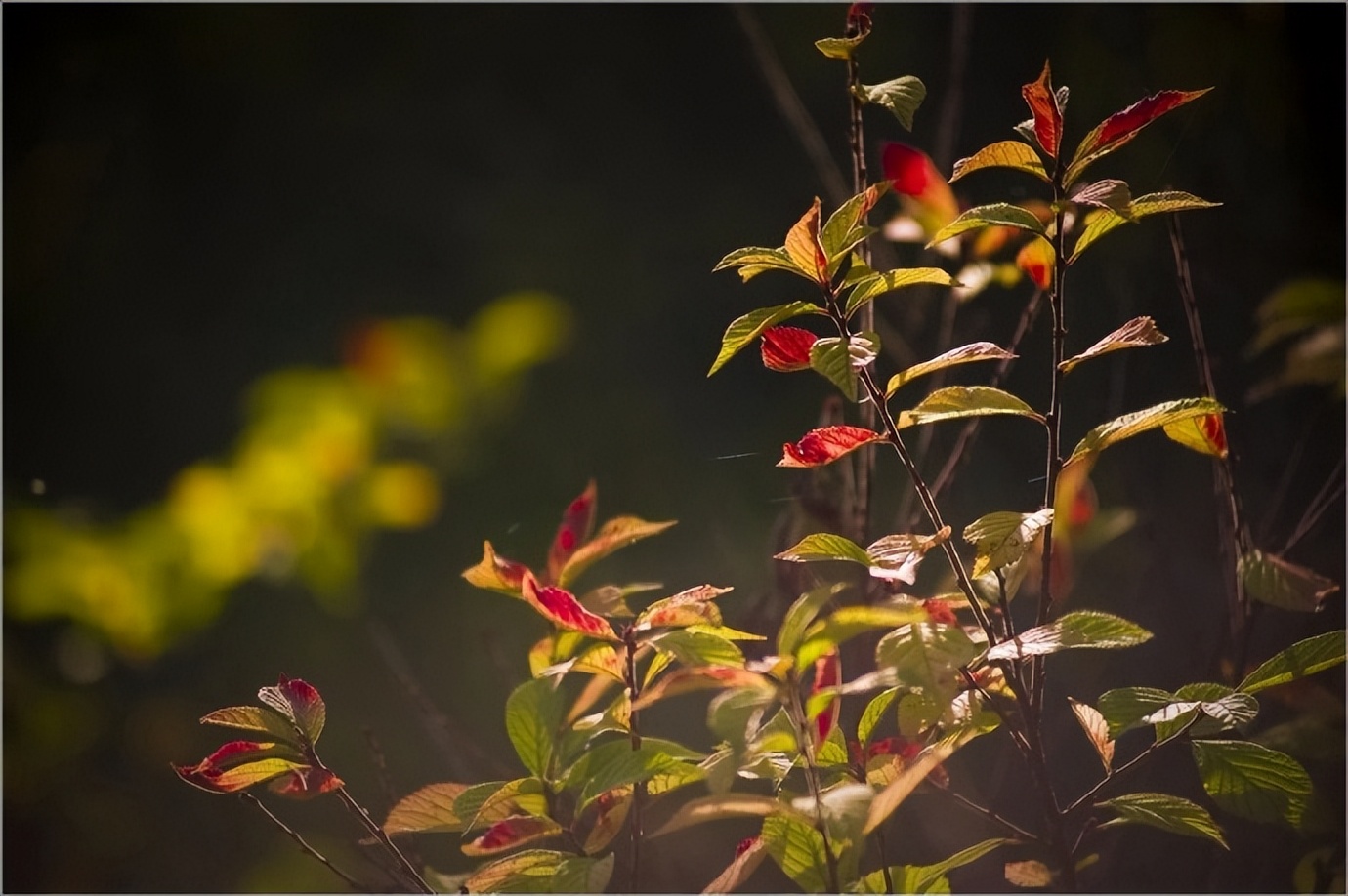 三观相合能量对等,人之间最舒服的关系是三观相同