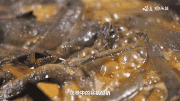 东海最后一处冷门小县城，藏了个海上仙子国，一口小海鲜封神