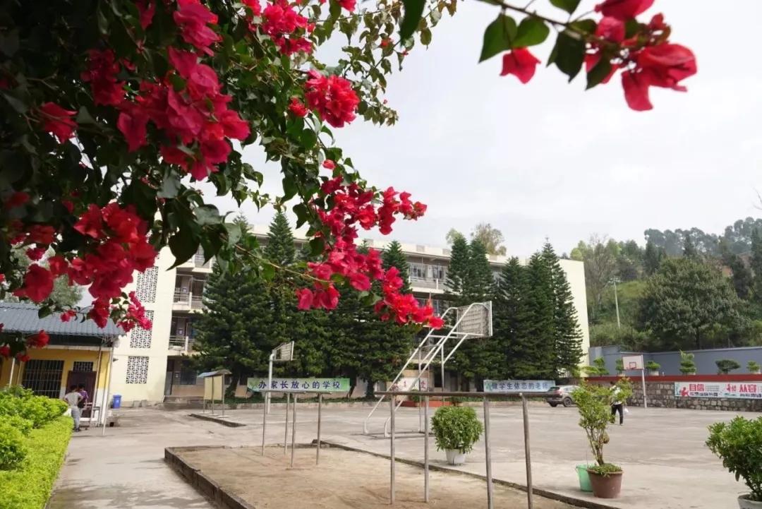 昆明丑小鸭中学校长詹大年,詹大年老师谈青春期