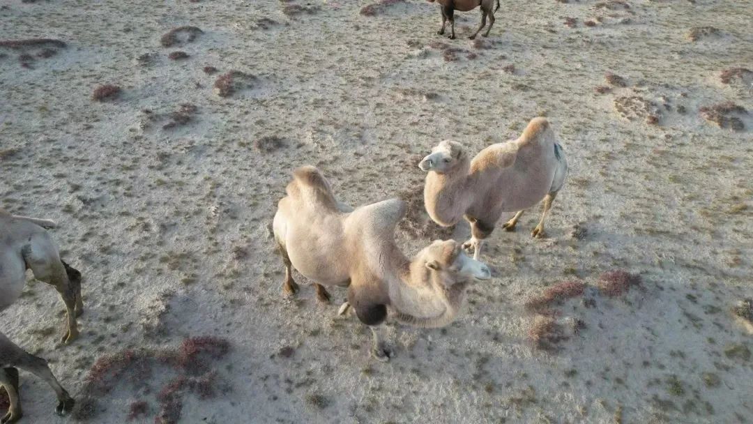 暑假游玩5天推荐的好地方,暑假值得去的旅游地点