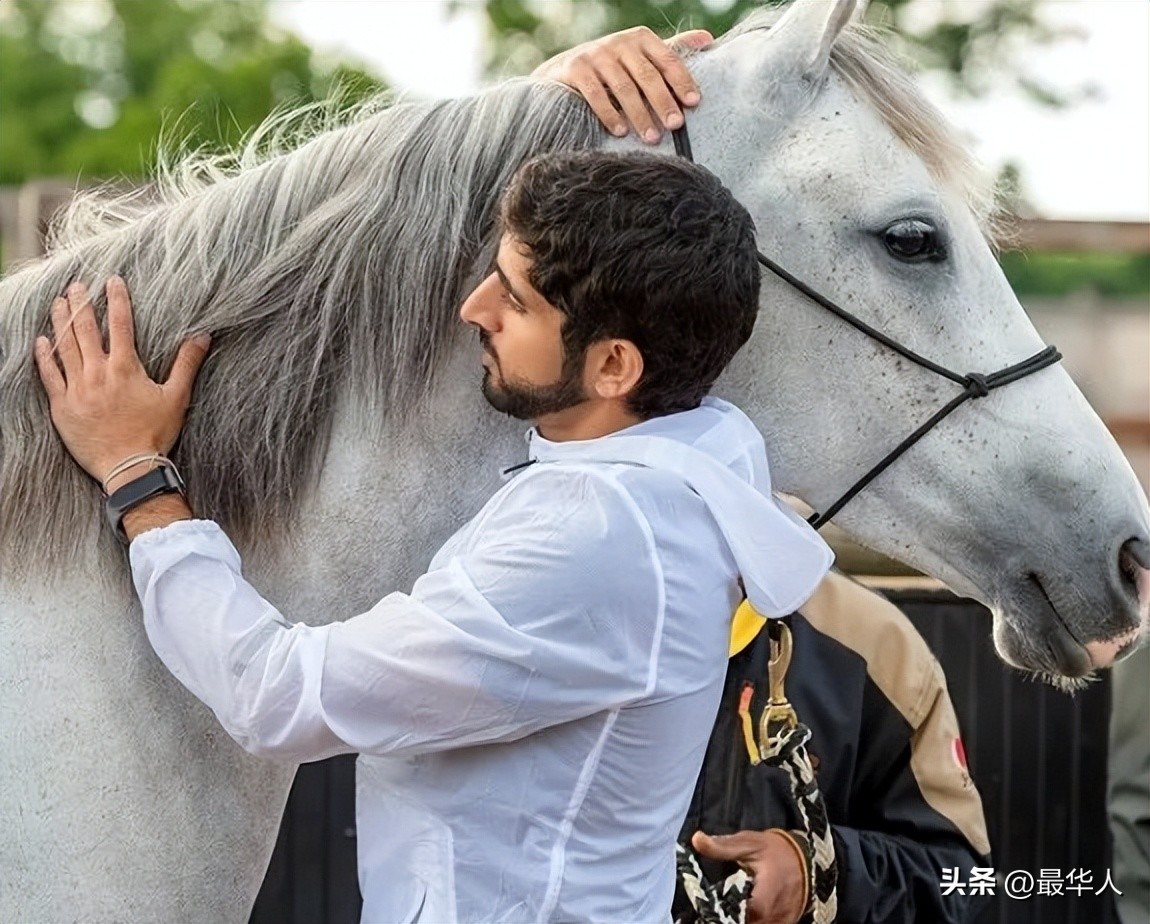 迪拜养狮子的土豪是谁,迪拜土豪养的老虎和狮子谁厉害