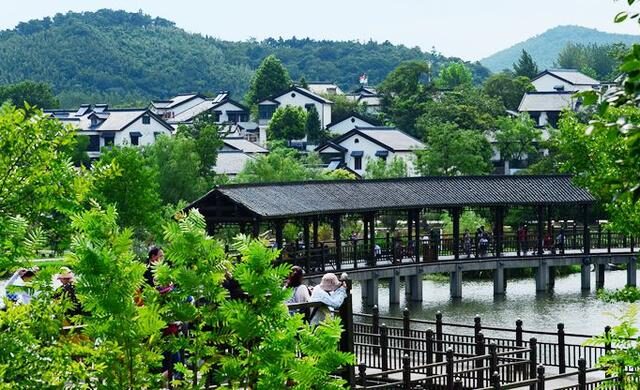 南京春游推荐石塘竹海景区,南京石塘竹海怪坡