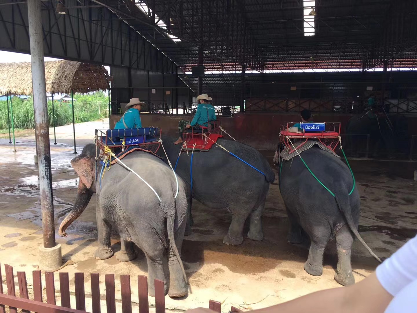 泰国芭提雅旅游景点大全,泰国芭提雅有什么景点和注意事项