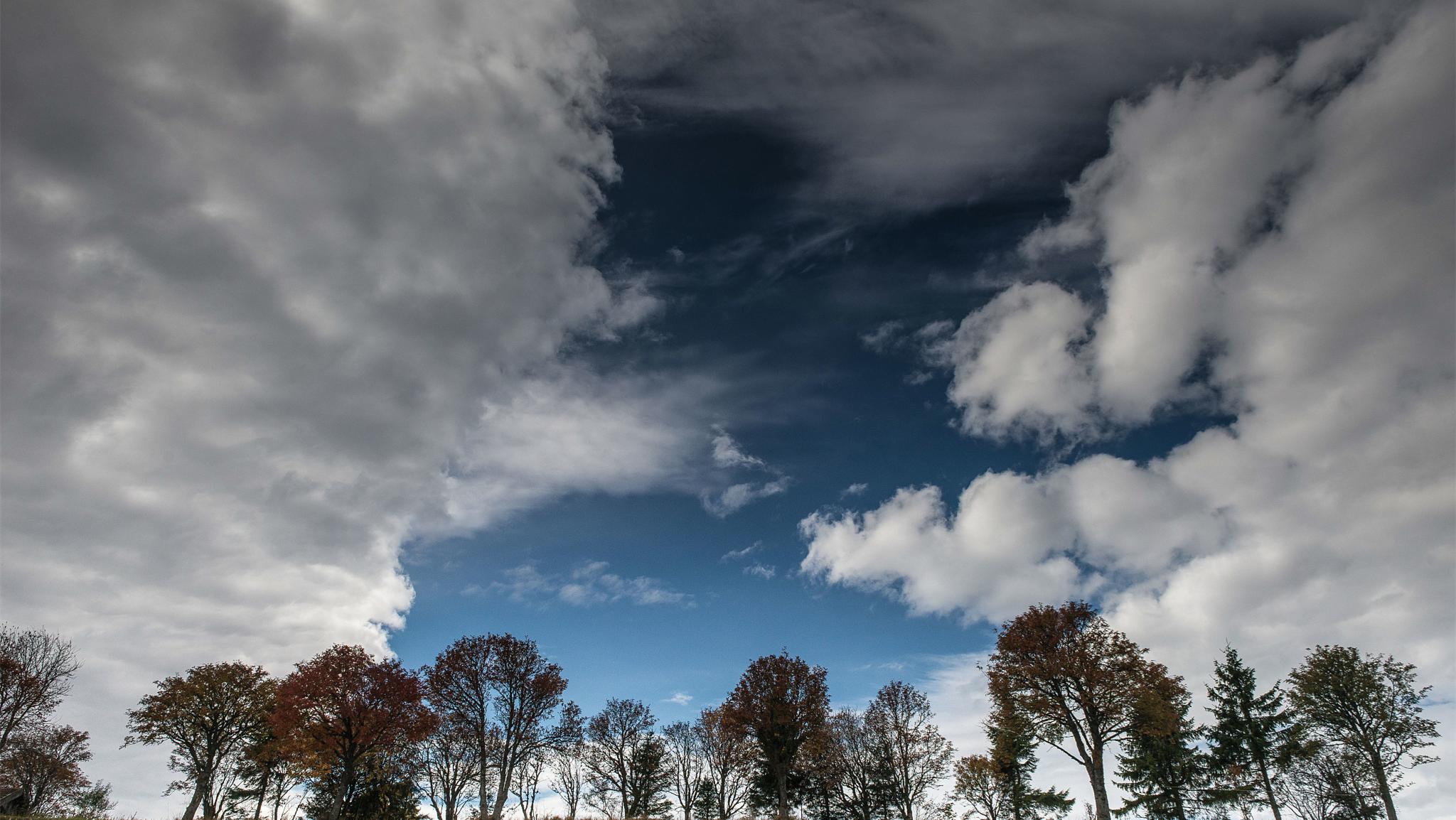 怀孕当天我碰见老公陪他初恋做产检，我流掉孩子，他又红了眼