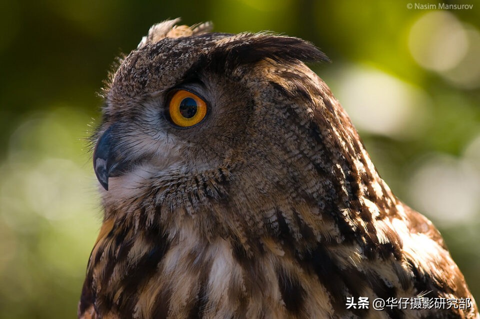 完美光圈设置拍出好照片的关键,相机怎么拍照清晰度最好