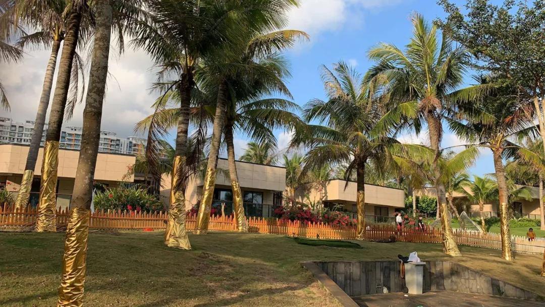 海南万宁有什么值得去的景点,海南万宁石梅湾风景