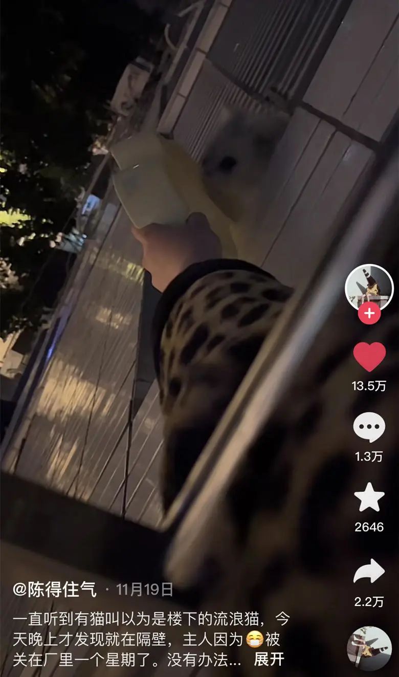 2020年的56个瞬间,我见过一场海啸