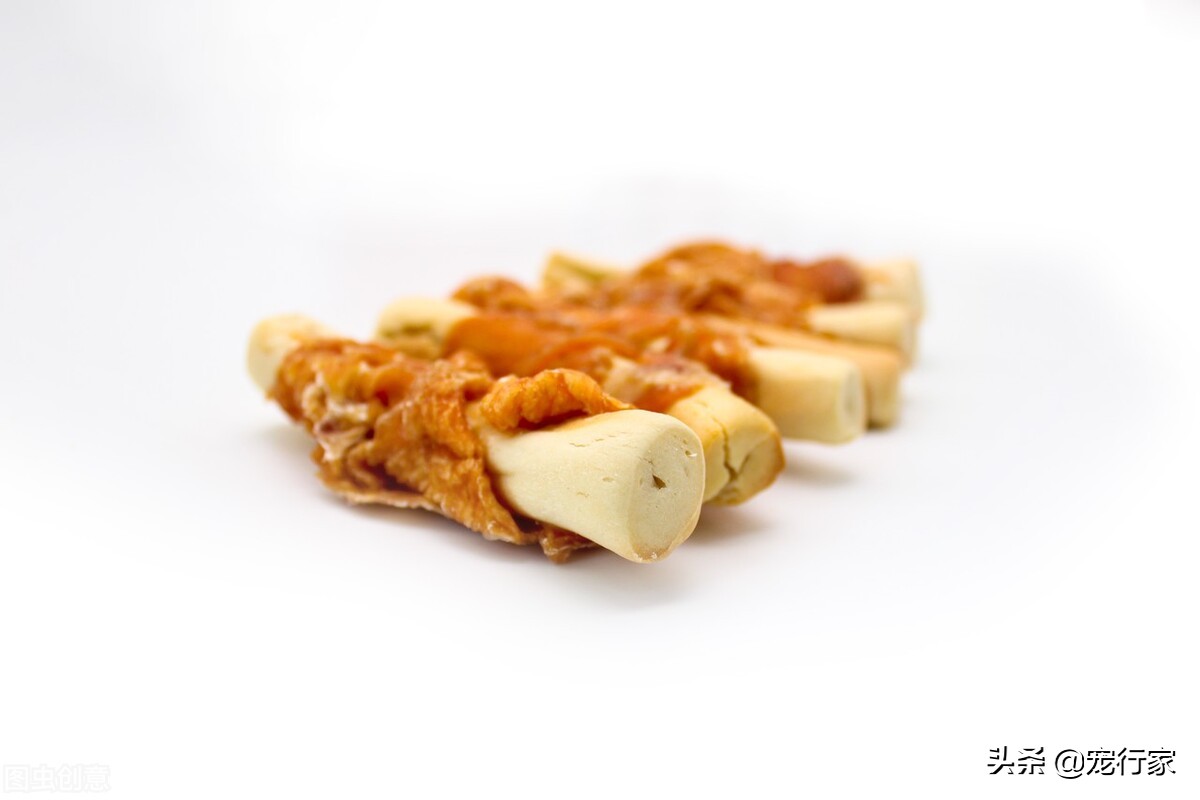 狗狗太无聊，老是乱咬家中物品怎么办？试着给狗子找事做