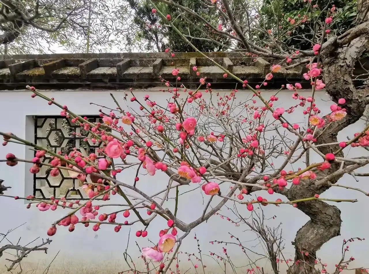 七绝春日二首原创,春日七绝诗十首