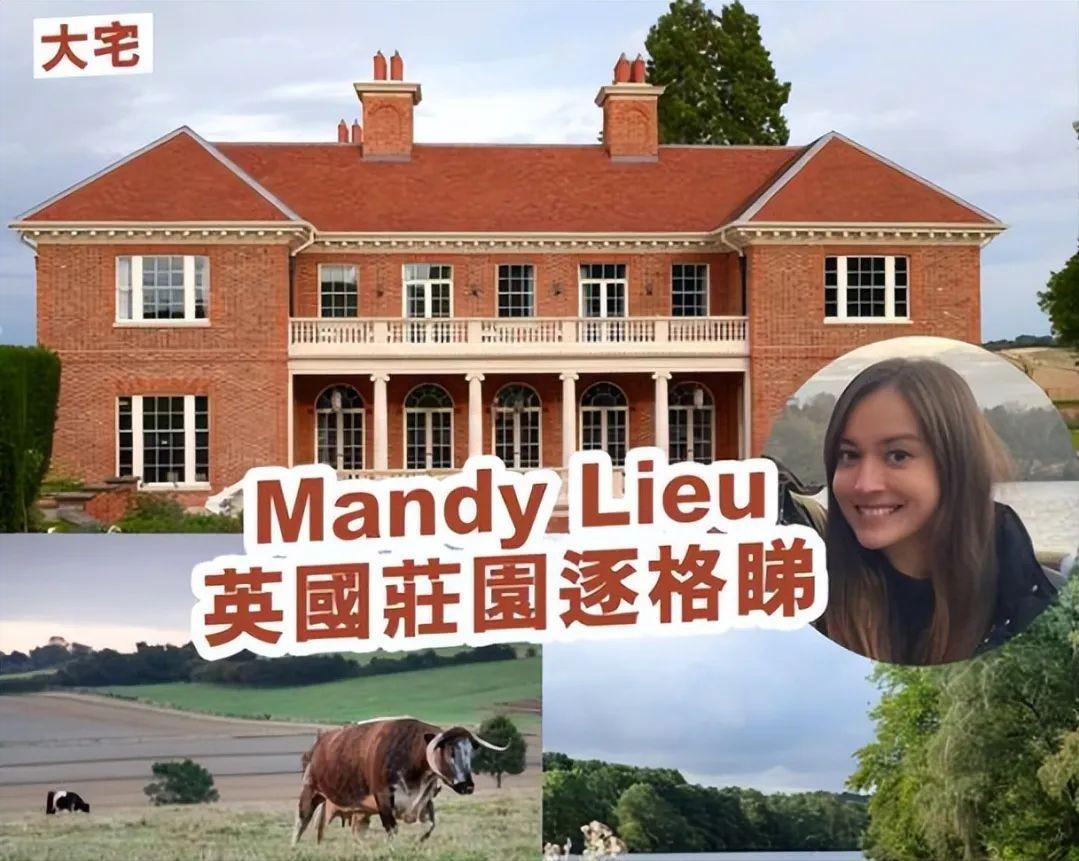 洗米华现在在干什么呢,洗米华落魄的时候