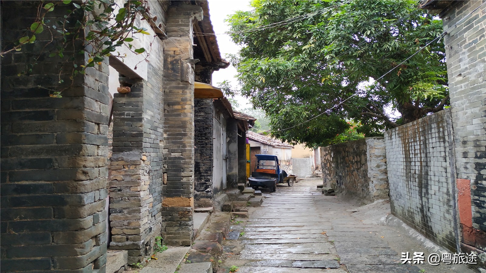 东莞桥头哪里有莲花,广东东莞桥头镇莲花公园