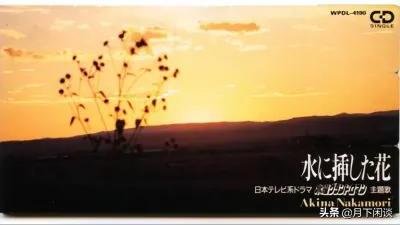 中森明菜与渣男的故事,中森明菜被渣男毁了一生