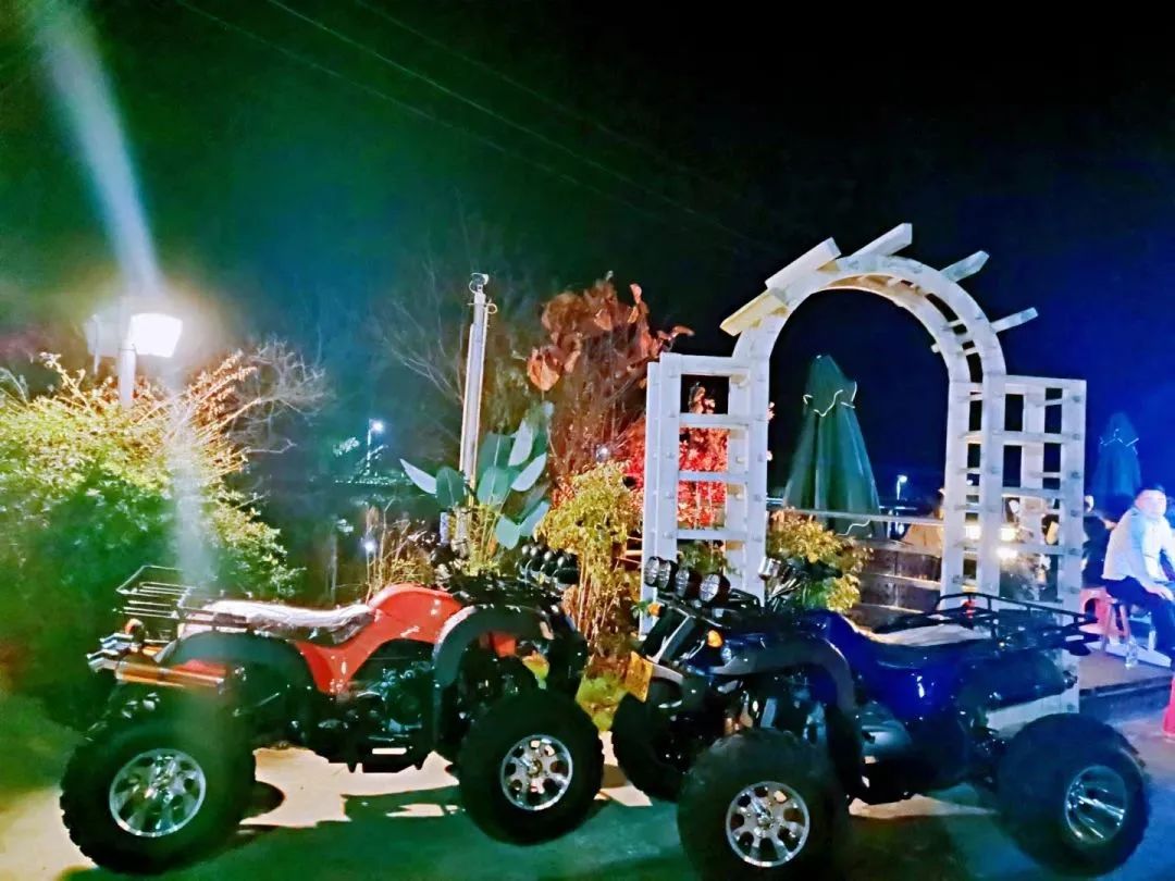 广州增城四季田园民宿,增城网红稻田民宿