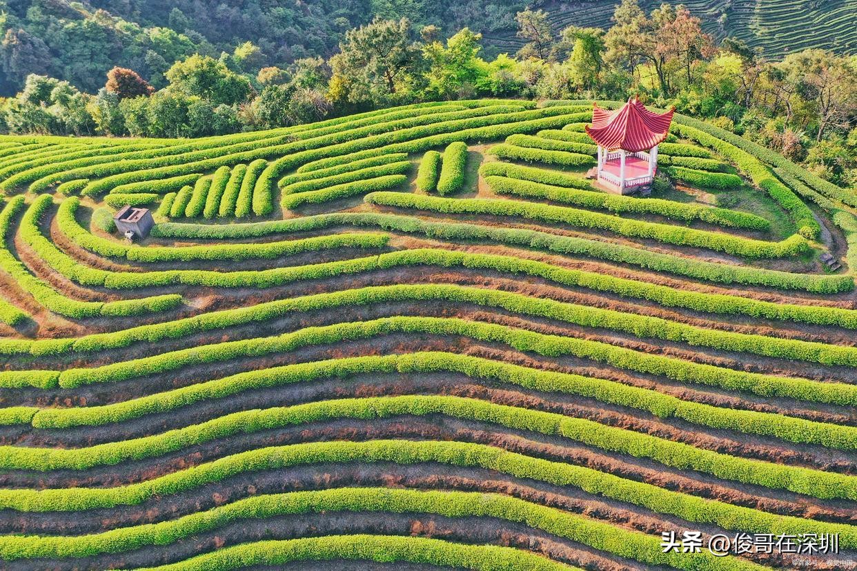 广东风景区旅游景点,广东旅游攻略必去景点