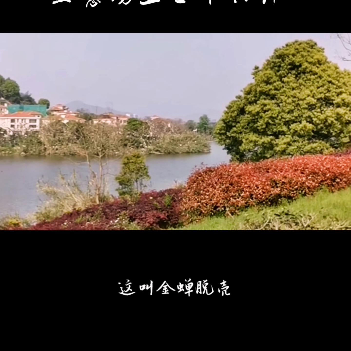 教你生意场上如何叱咤风云,生意场上的套路