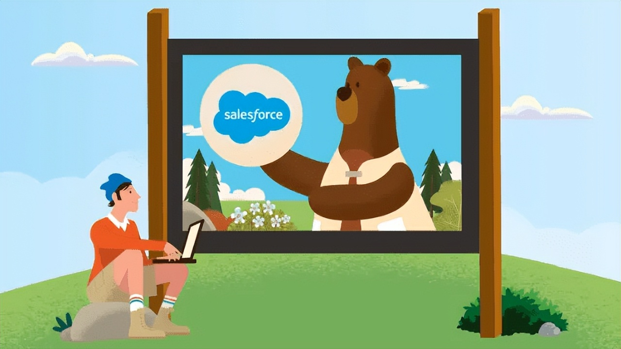 中国salesforce工资,salesforce每月收入