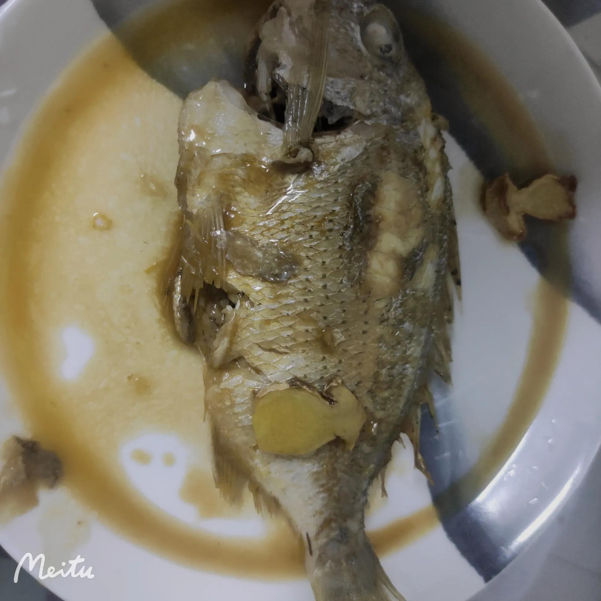 一根值300多元的鱼翅#什么鱼的鱼翅这么贵......