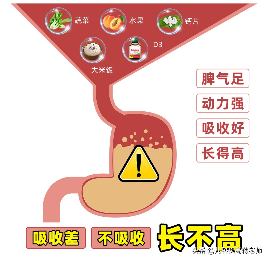 孩子不长个不长肉如何食疗,孩子不长个特别瘦是怎么回事