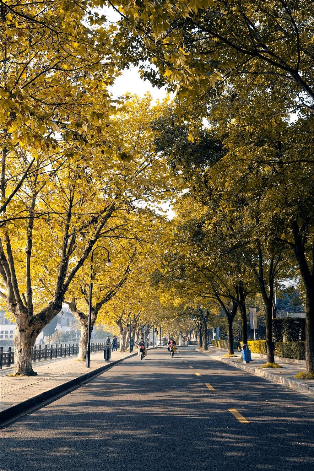 年轻人去上海有什么建议,给第一次去上海的朋友提建议