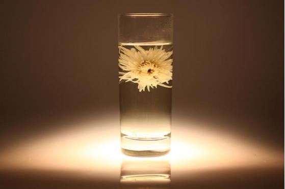 入秋能喝菊花茶吗,立秋可以喝枸杞菊花茶吗