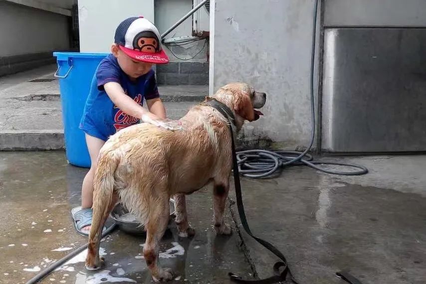 江苏省唯一一名警犬工作岗位硕士研究生与他爱犬“小虎”的故事