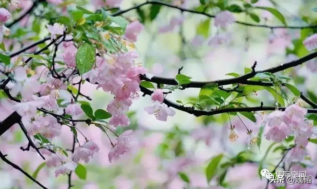 3月春暖花开了吗,3月份是春暖花开的时候吗