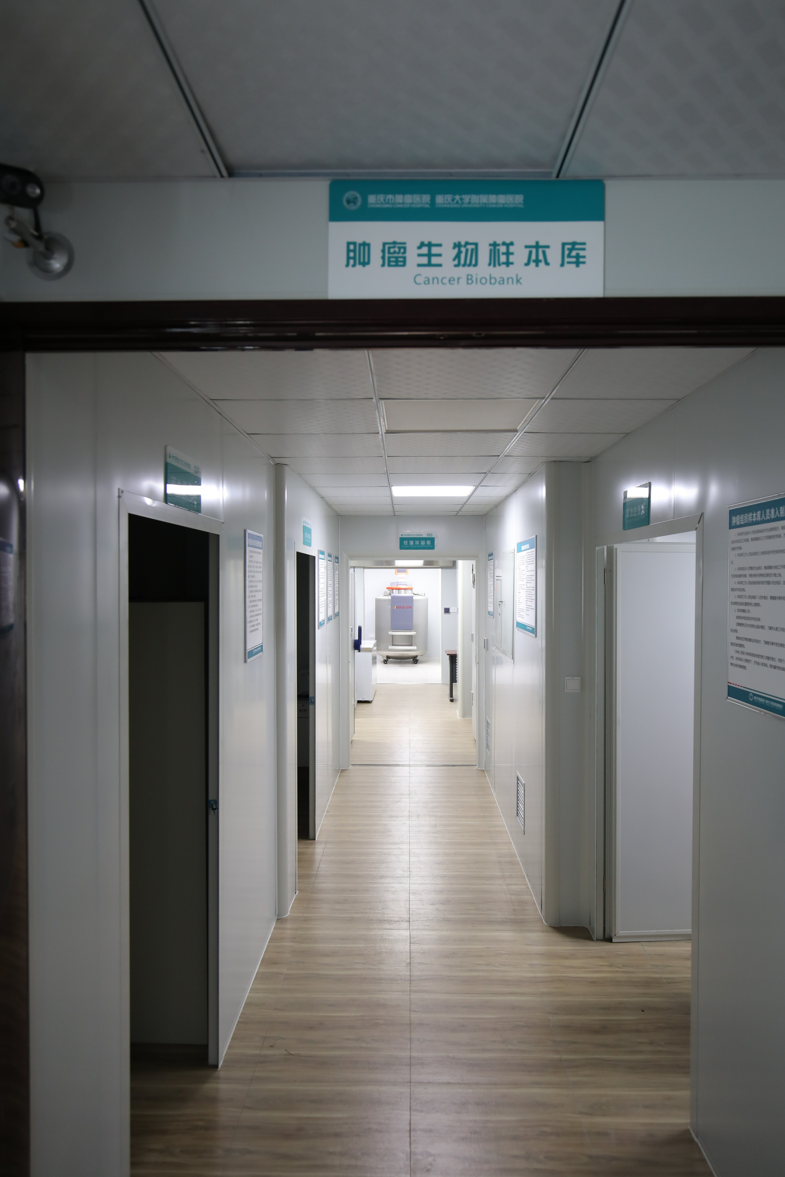 【胖熊医生谈肿瘤防治】重庆大学附属肿瘤医院开了家“生物银行”，可实现肿瘤患者治疗方案“私人定制”？