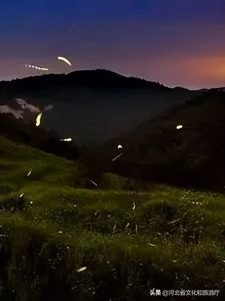 爱丽丝梦游仙境景区,爱丽丝梦游仙境青岛实景