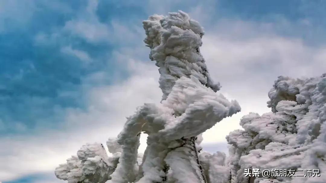 清远金子山旅游攻略看雾凇,广东金子山雪景旅游攻略