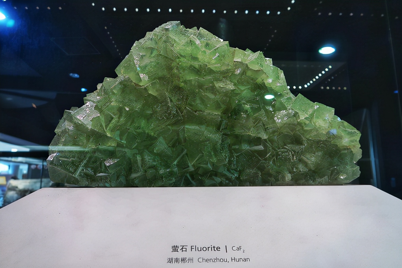 上海四天五夜旅游攻略,上海周边四天三夜攻略