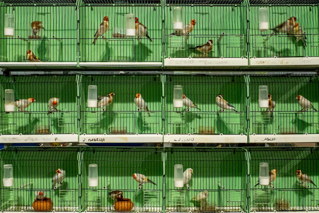 2022索尼摄影大赛征稿,2022索尼世界摄影大赛