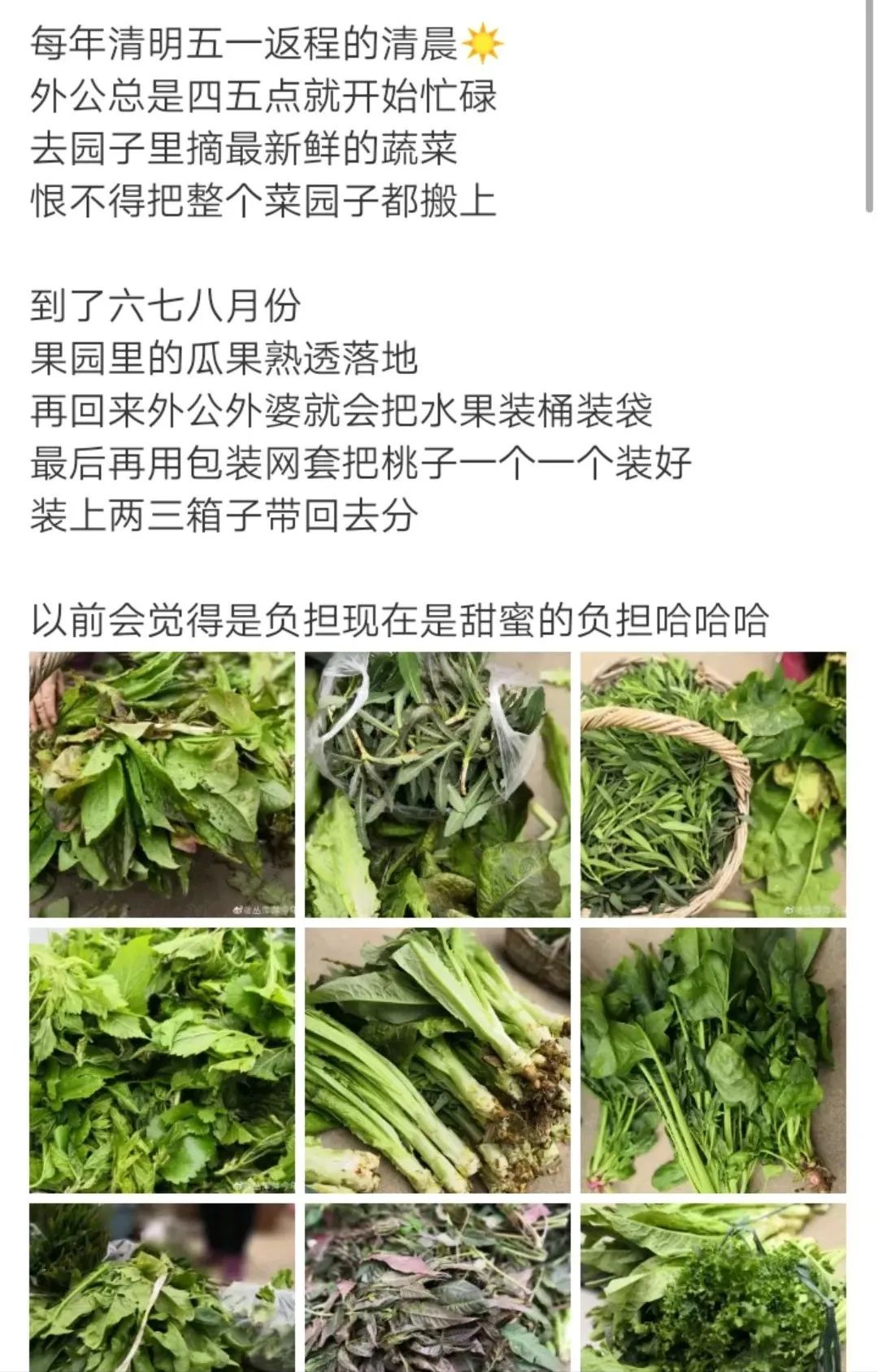 被拐卖的奶奶22年,被拐卖的奶奶后续