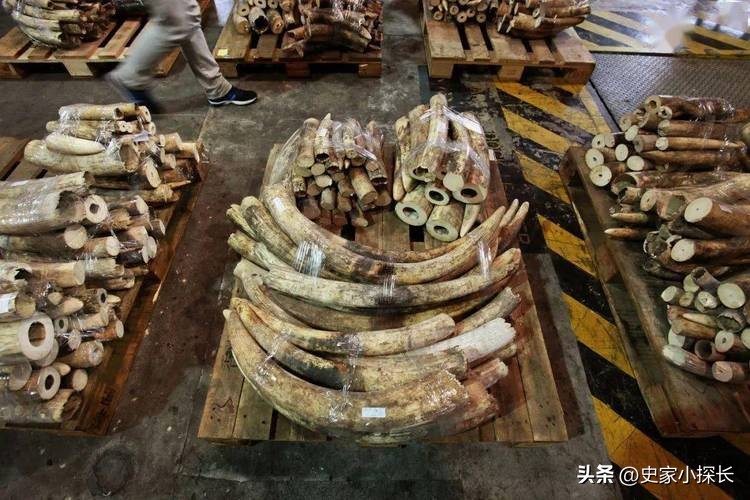 俄罗斯害怕外星人吗,俄罗斯在西伯利亚有什么秘密