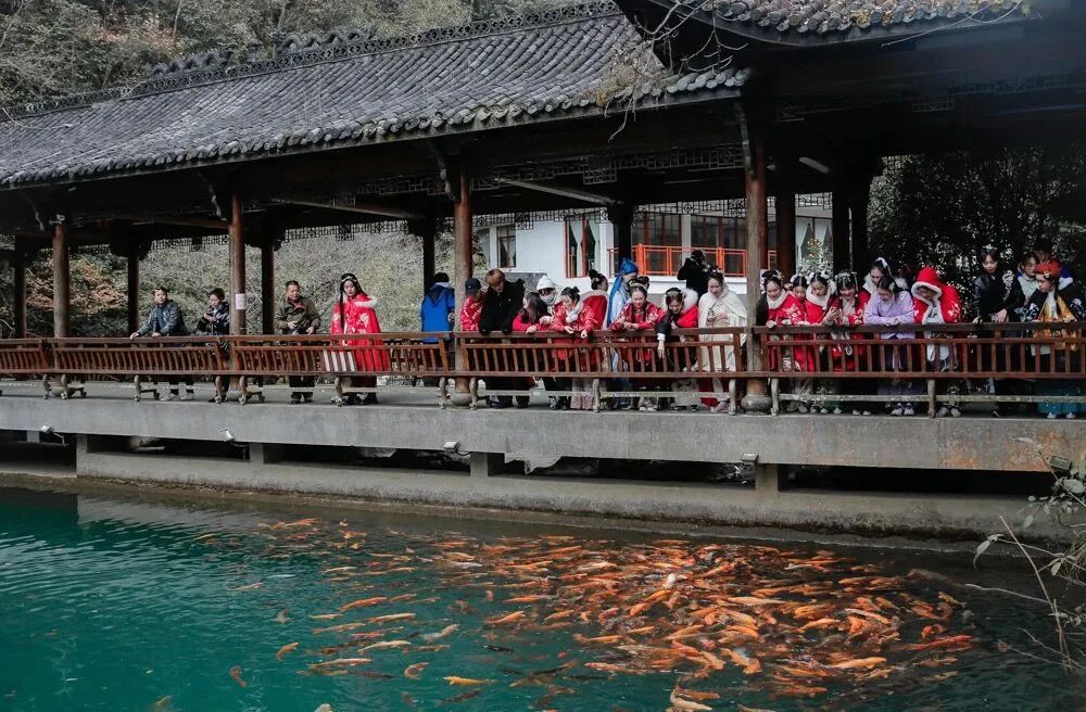 遂昌吃喝玩乐的地方,遂昌千佛山旅游度假