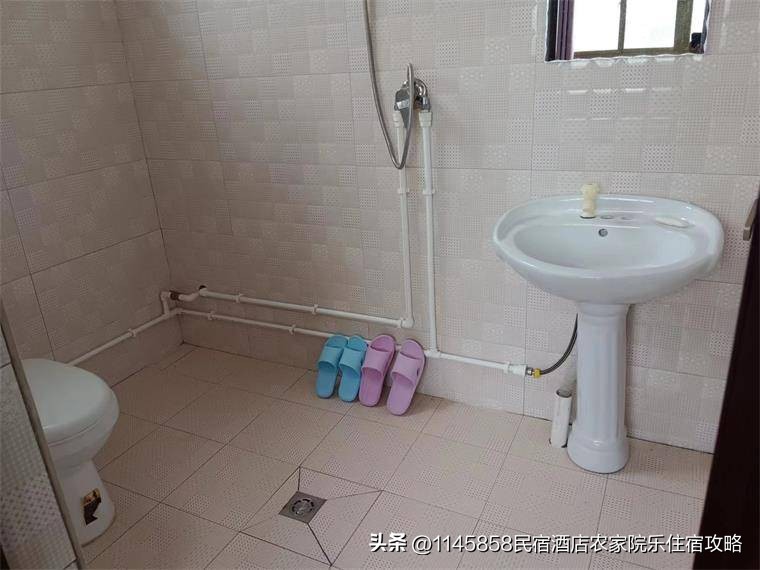 白洋淀农家打鱼,白洋淀农家院野钓推荐