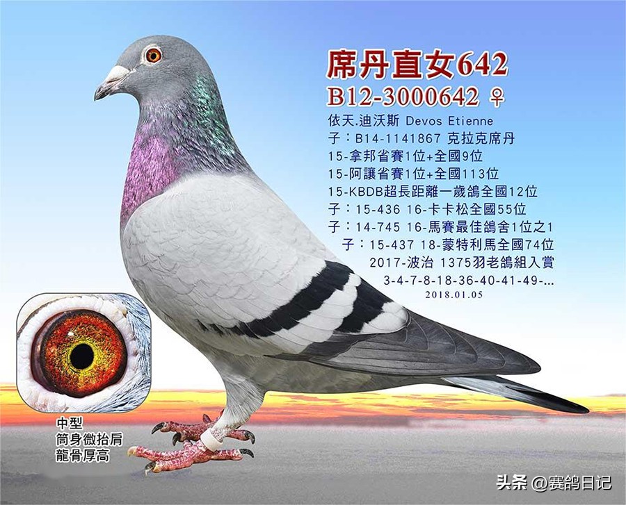 依天迪沃斯席丹号，伯里斯鸽系的起点