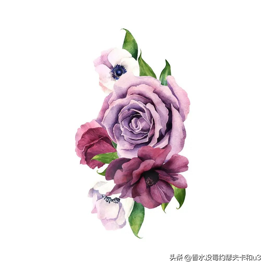 没想到400多的价格让我拥有了2000多的Osang