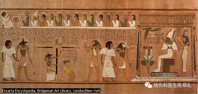 慢性创面患者的敷料运用及选择,创面换药敷料的选择